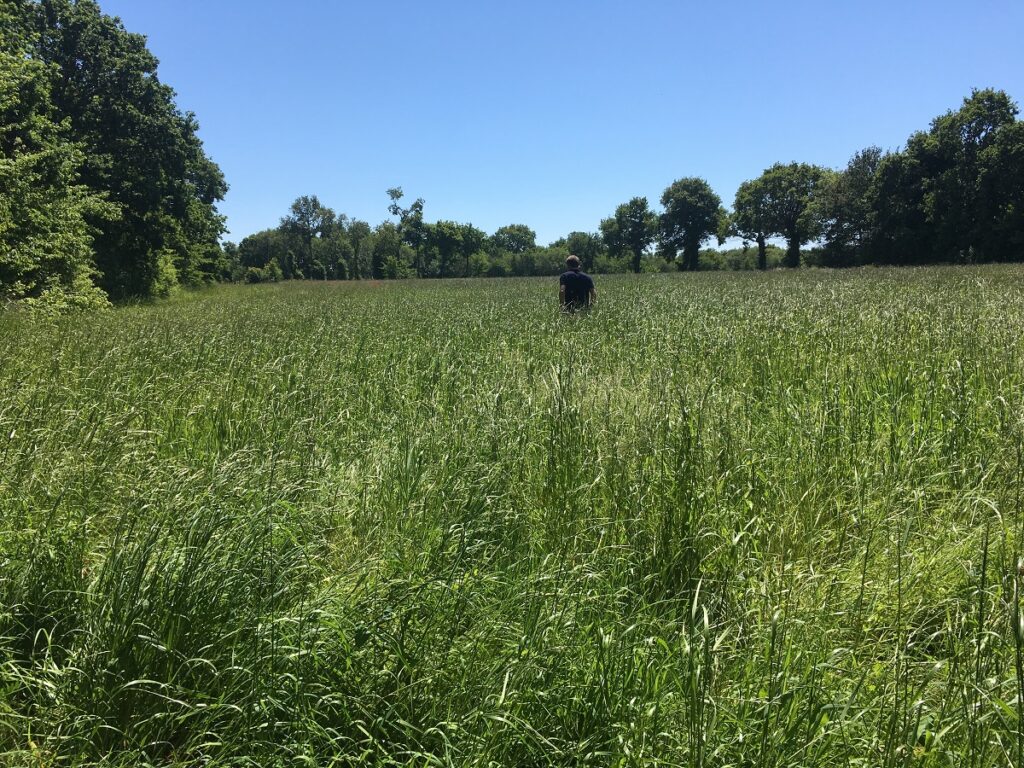 La petite ferme maraîchère